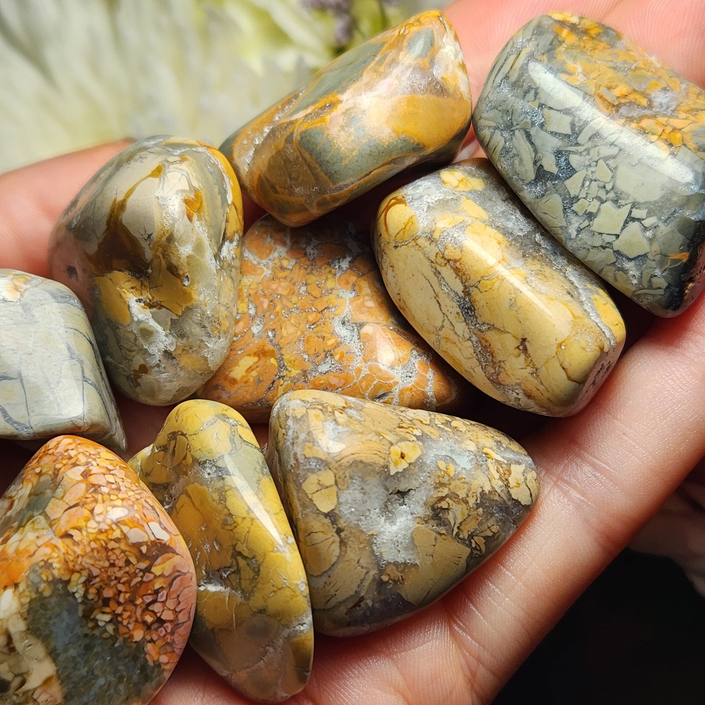Ibis Jasper Crystal