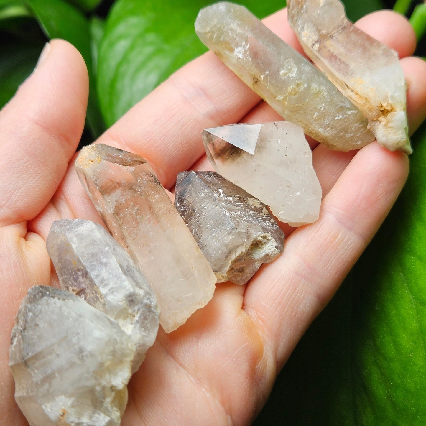 Brandberg Quartz Crystal