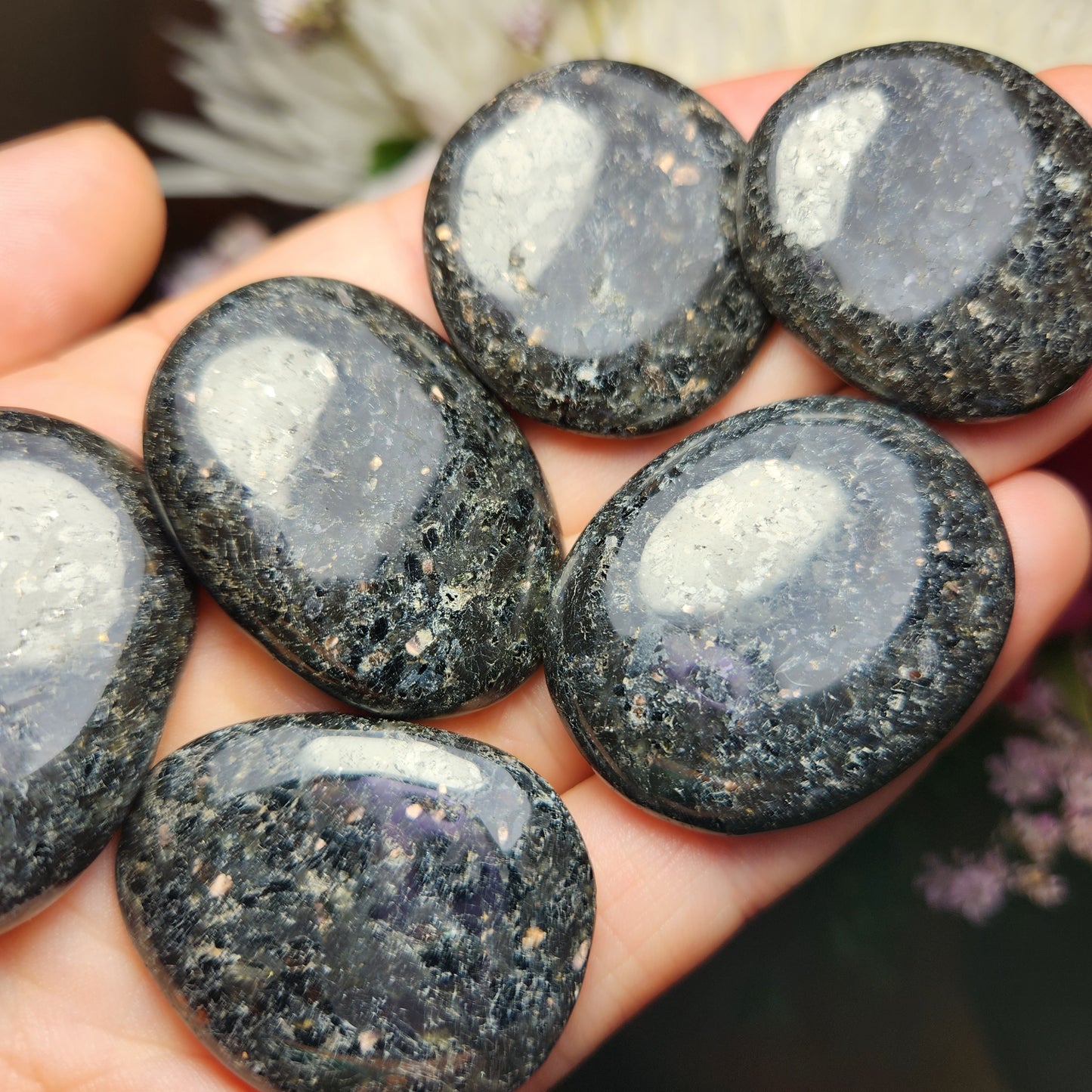 Nuummite Crystal