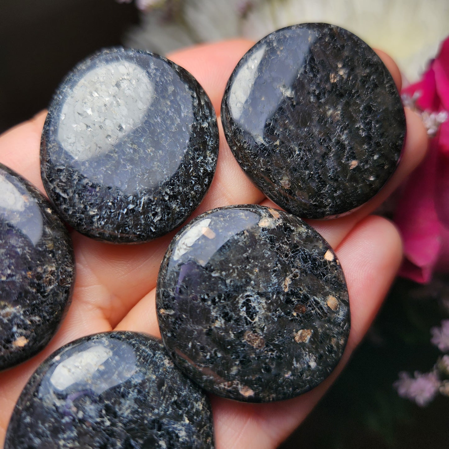 Nuummite Crystal
