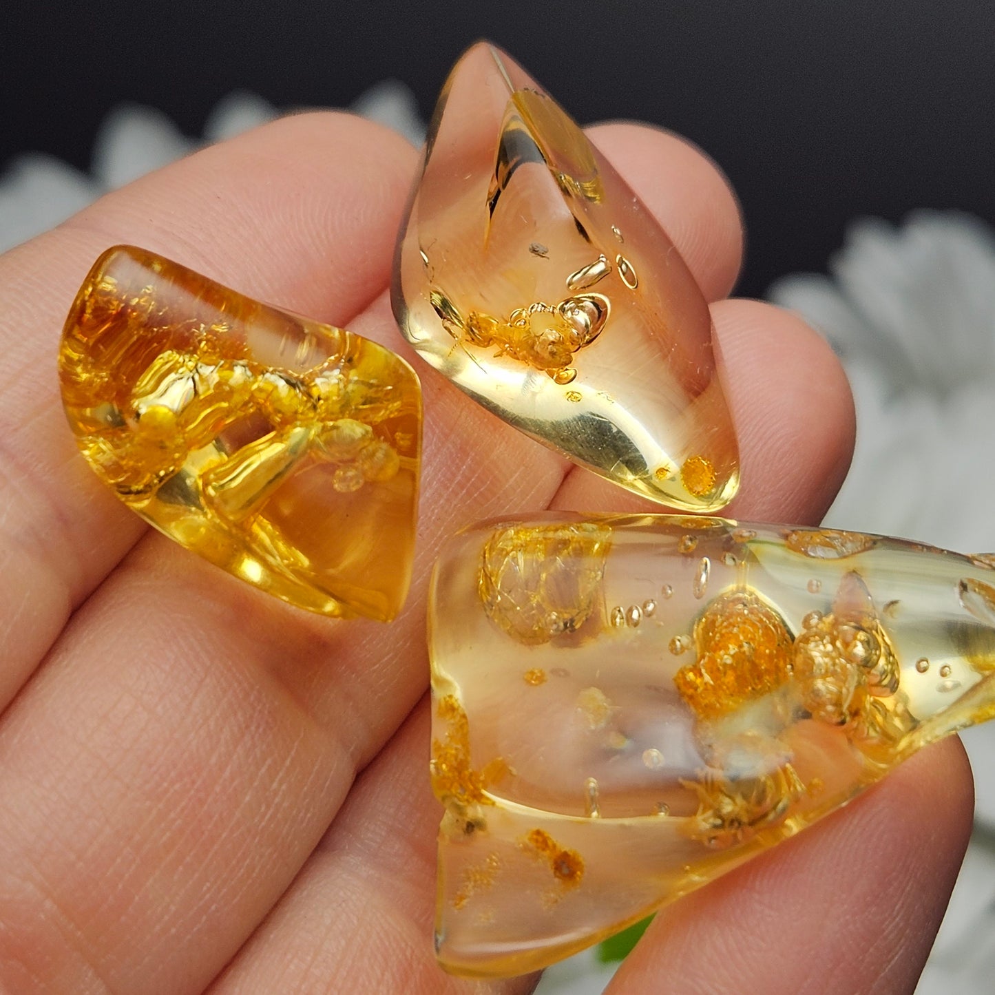 ENHYDRO Amber with Bugs