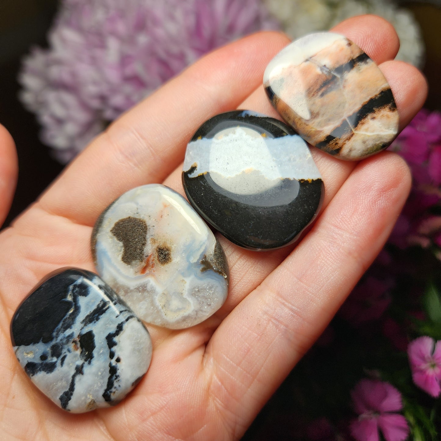 Sardonyx Crystal