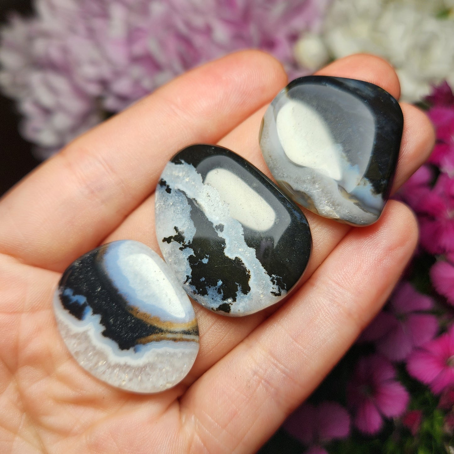 Sardonyx Crystal