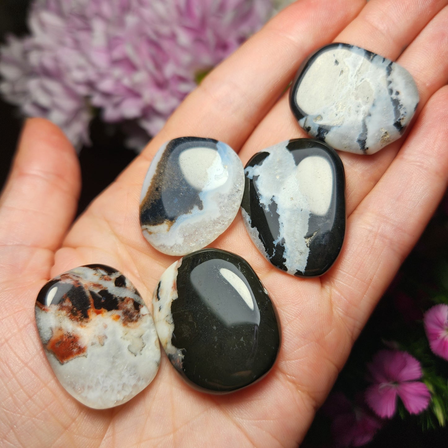 Sardonyx Crystal