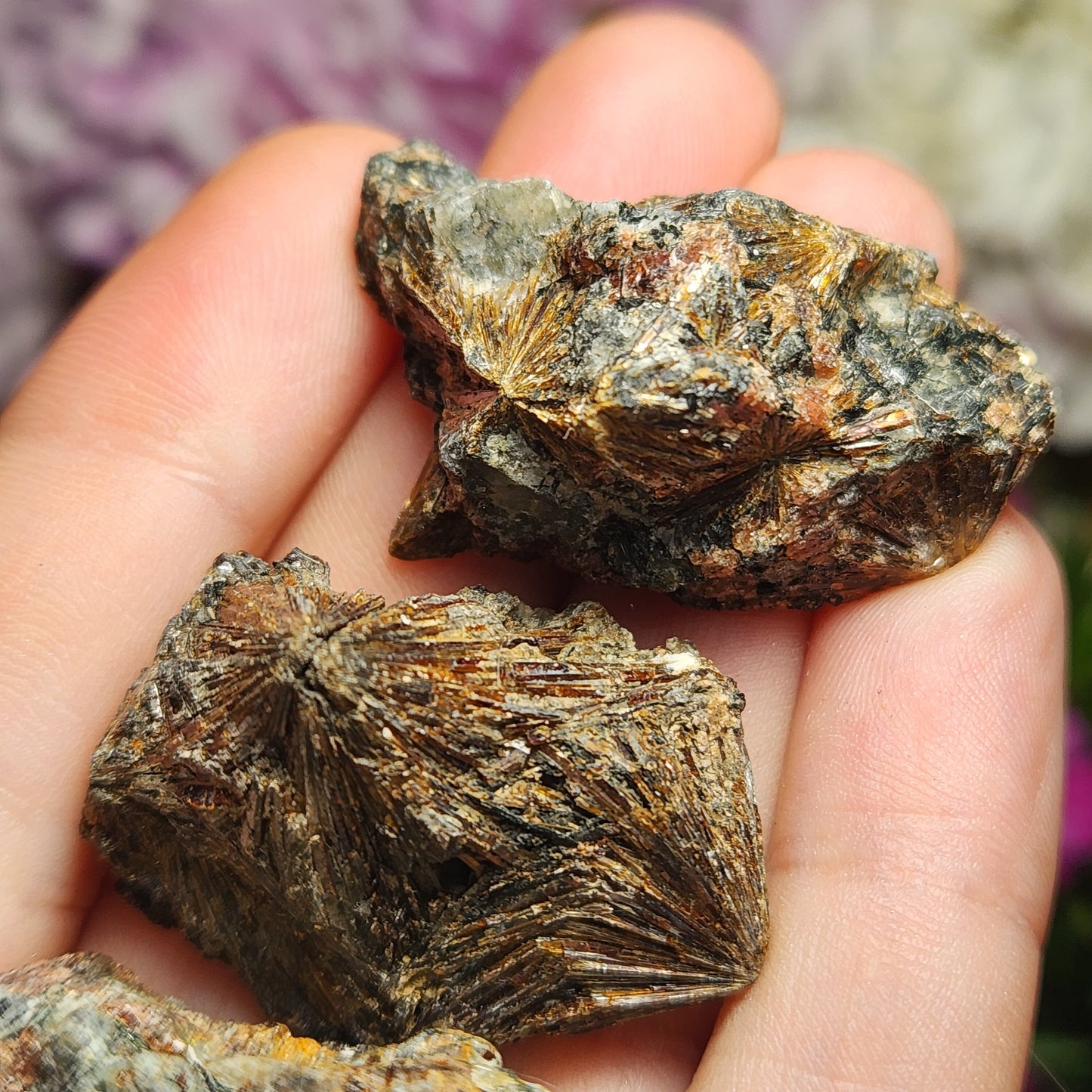 Lamprophyllite Crystal