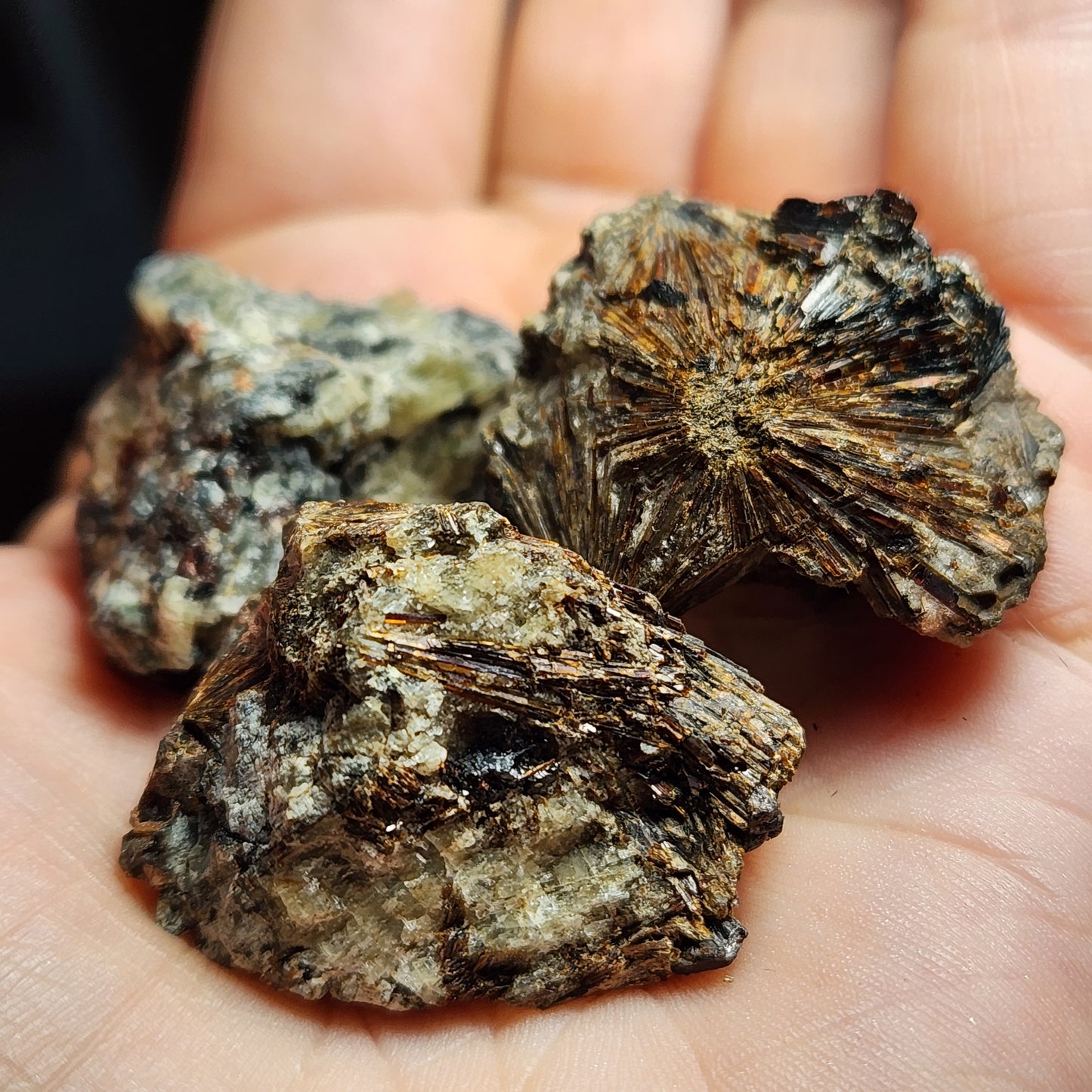 Lamprophyllite Crystal