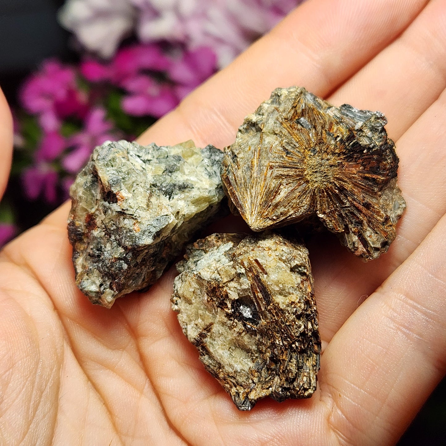 Lamprophyllite Crystal