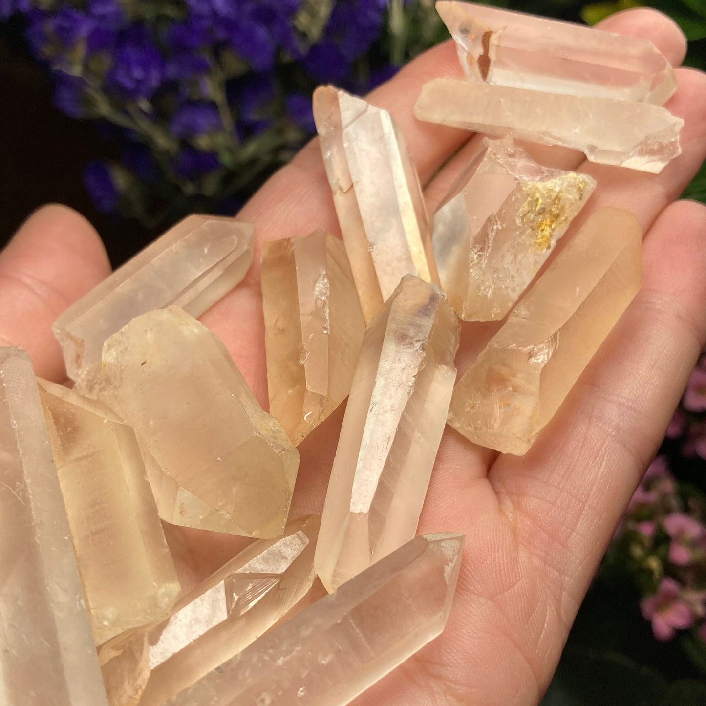 Frosted Golden Lemurian
