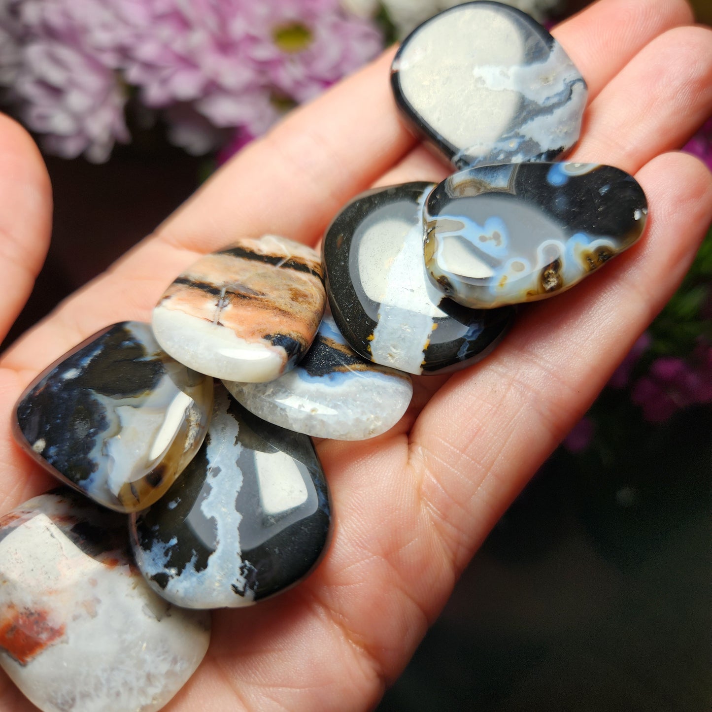 Sardonyx Crystal
