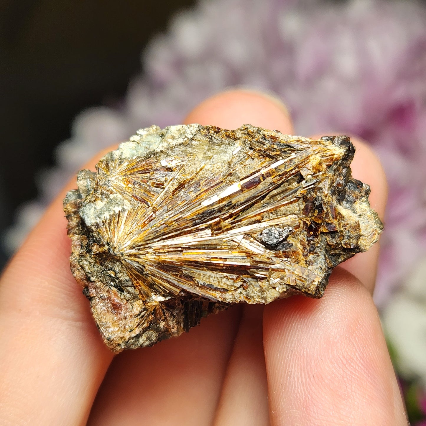 Lamprophyllite Crystal