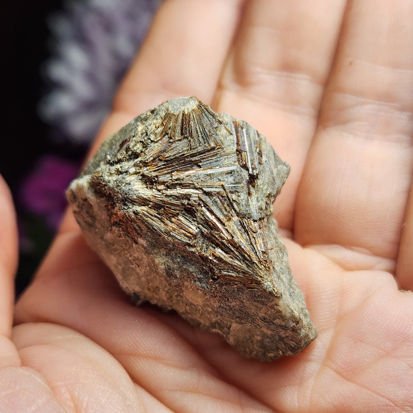 Lamprophyllite Crystal