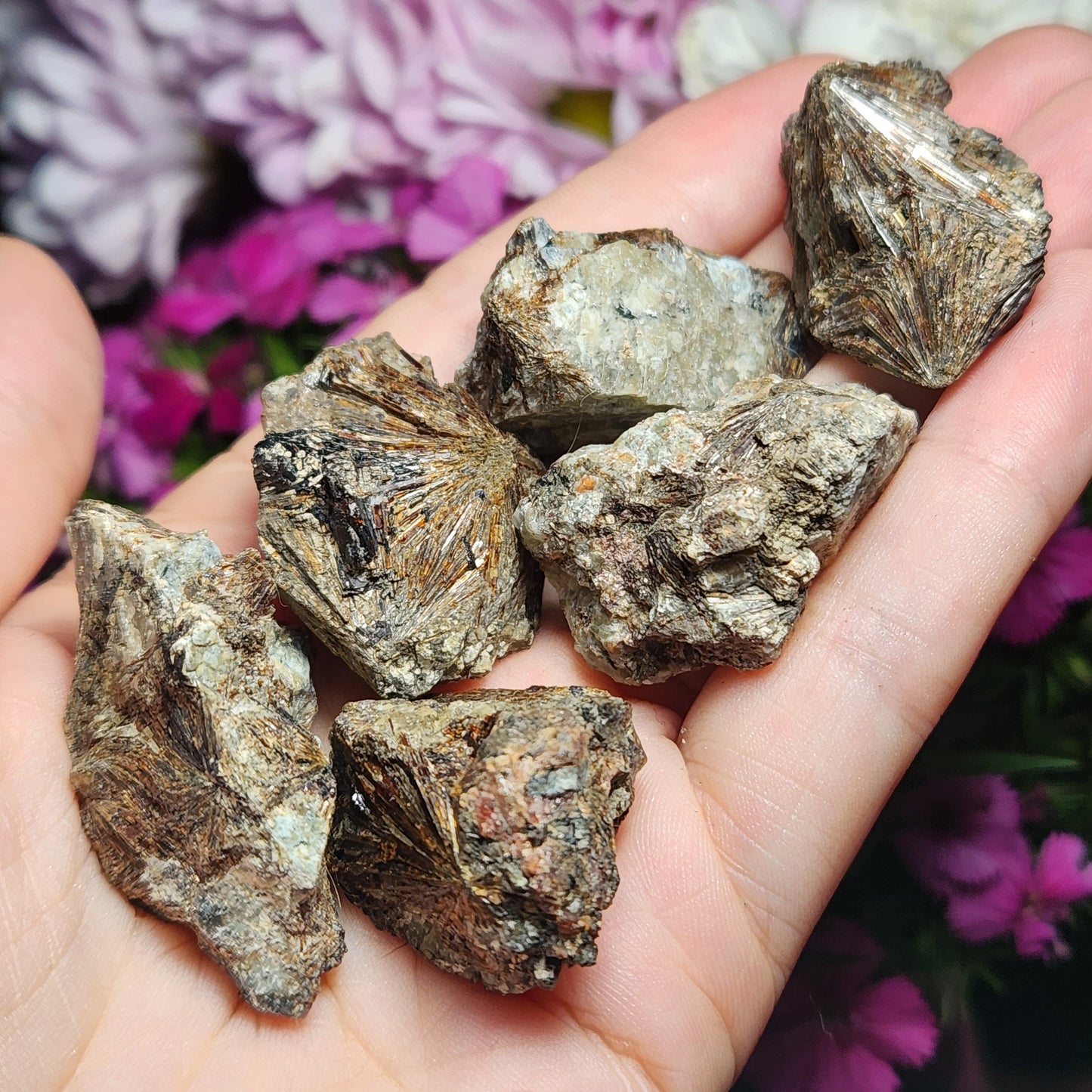 Lamprophyllite Crystal