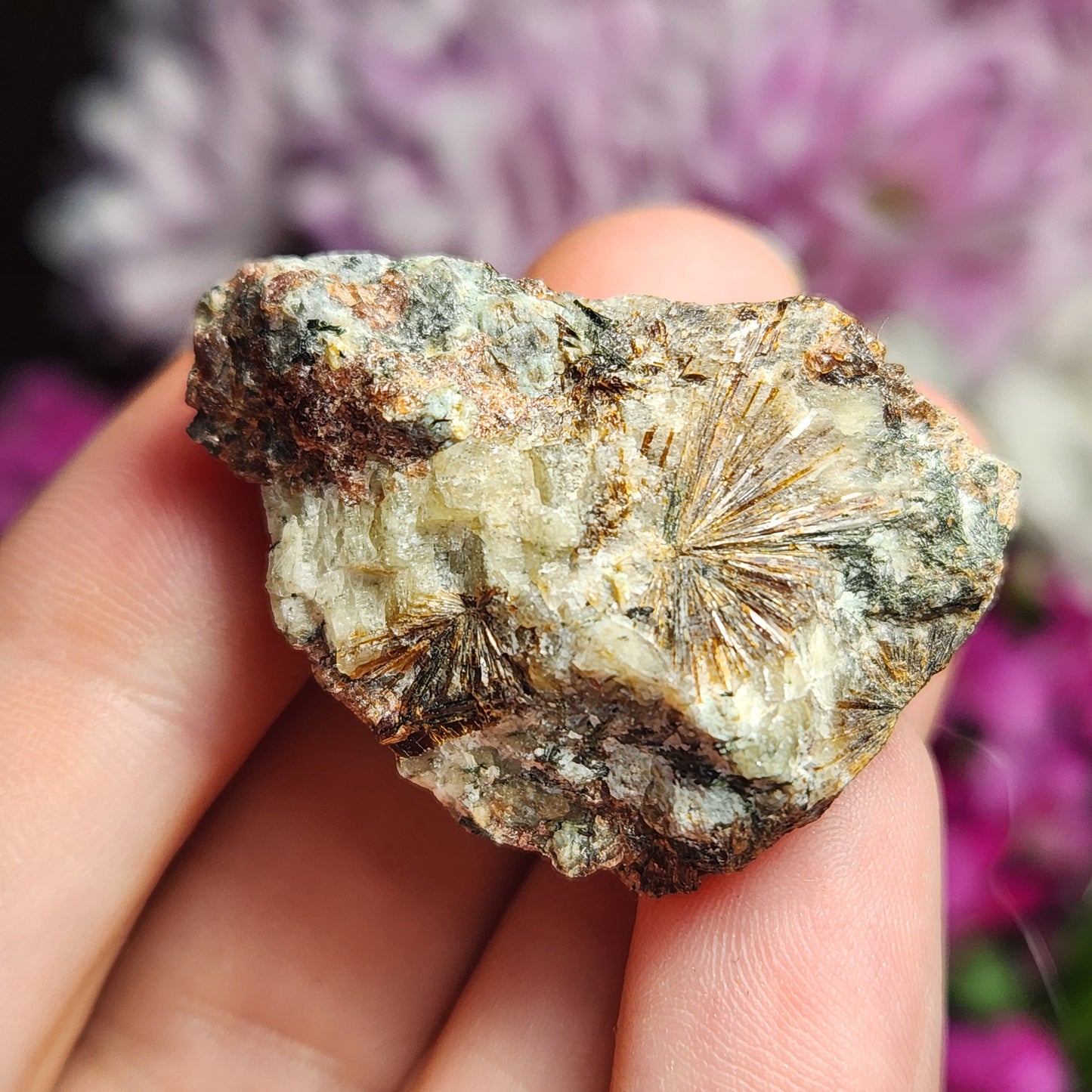 Lamprophyllite Crystal