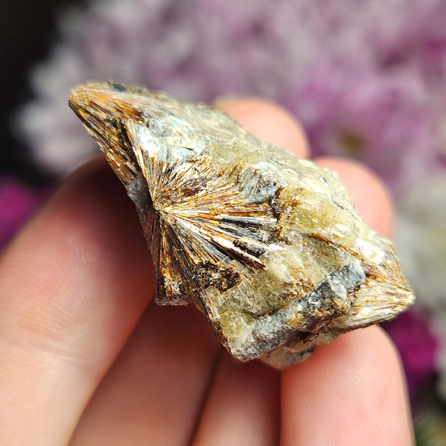 Lamprophyllite Crystal
