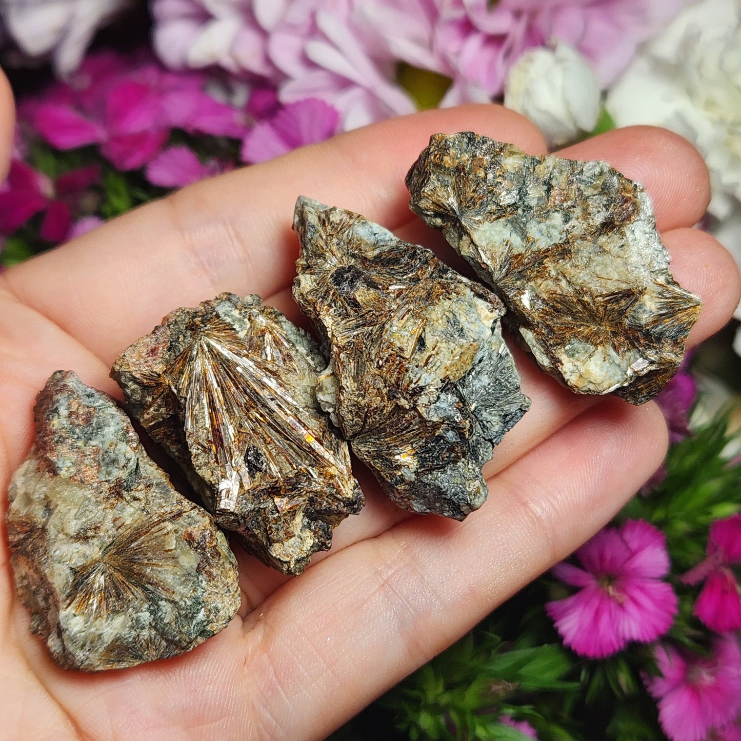 Lamprophyllite Crystal
