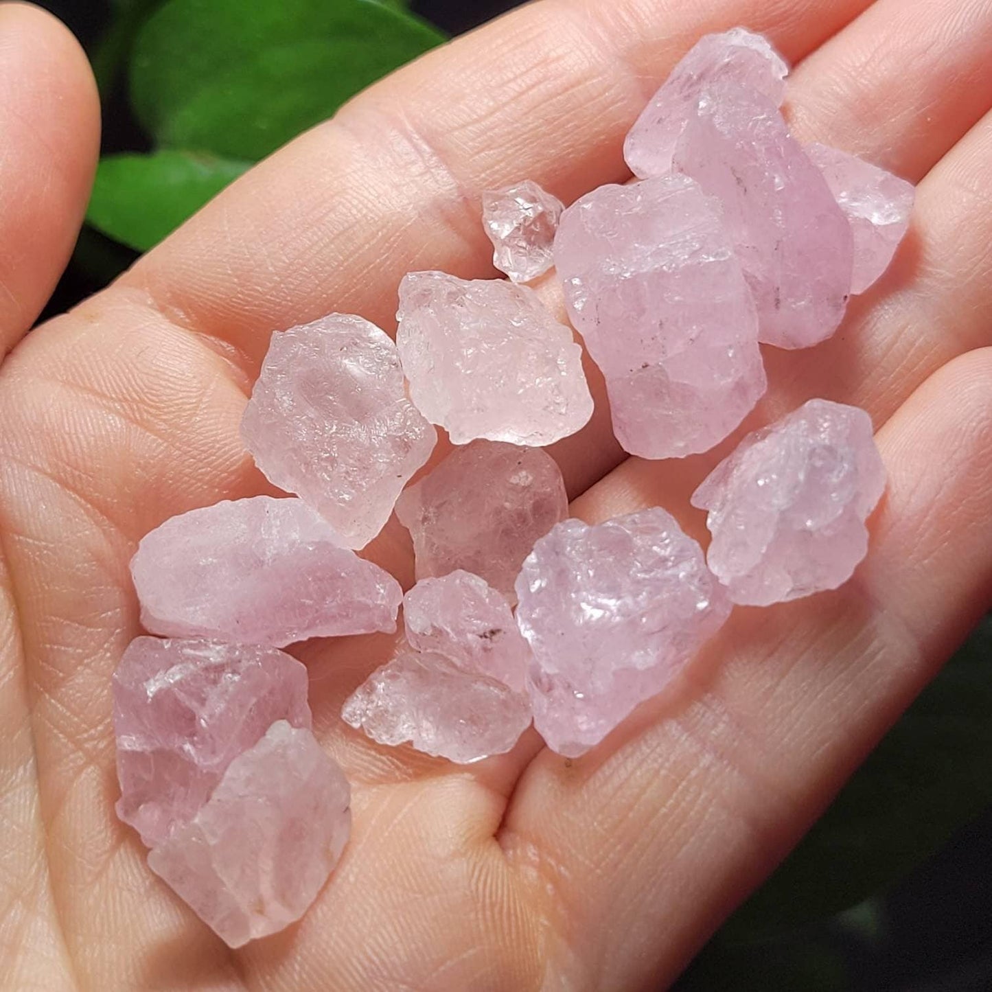 Raw Morganite
