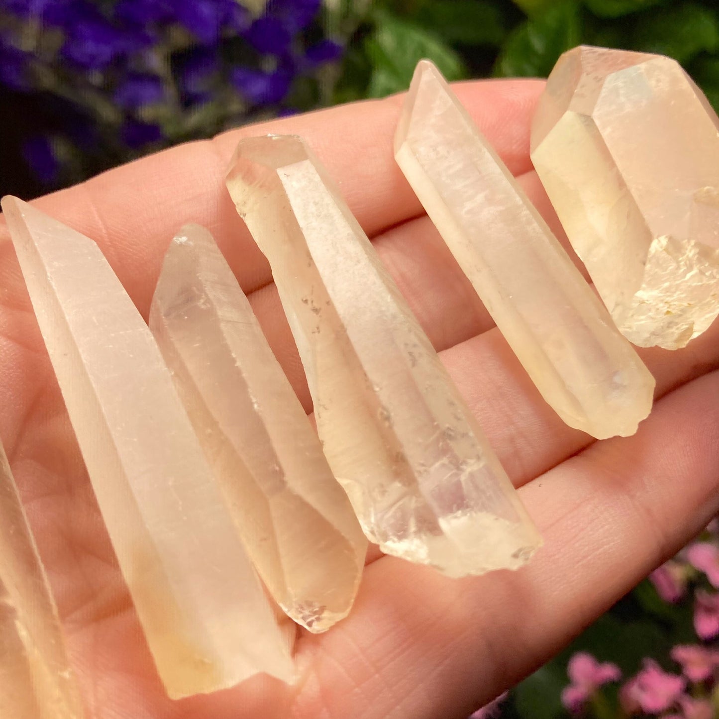 Frosted Golden Lemurian