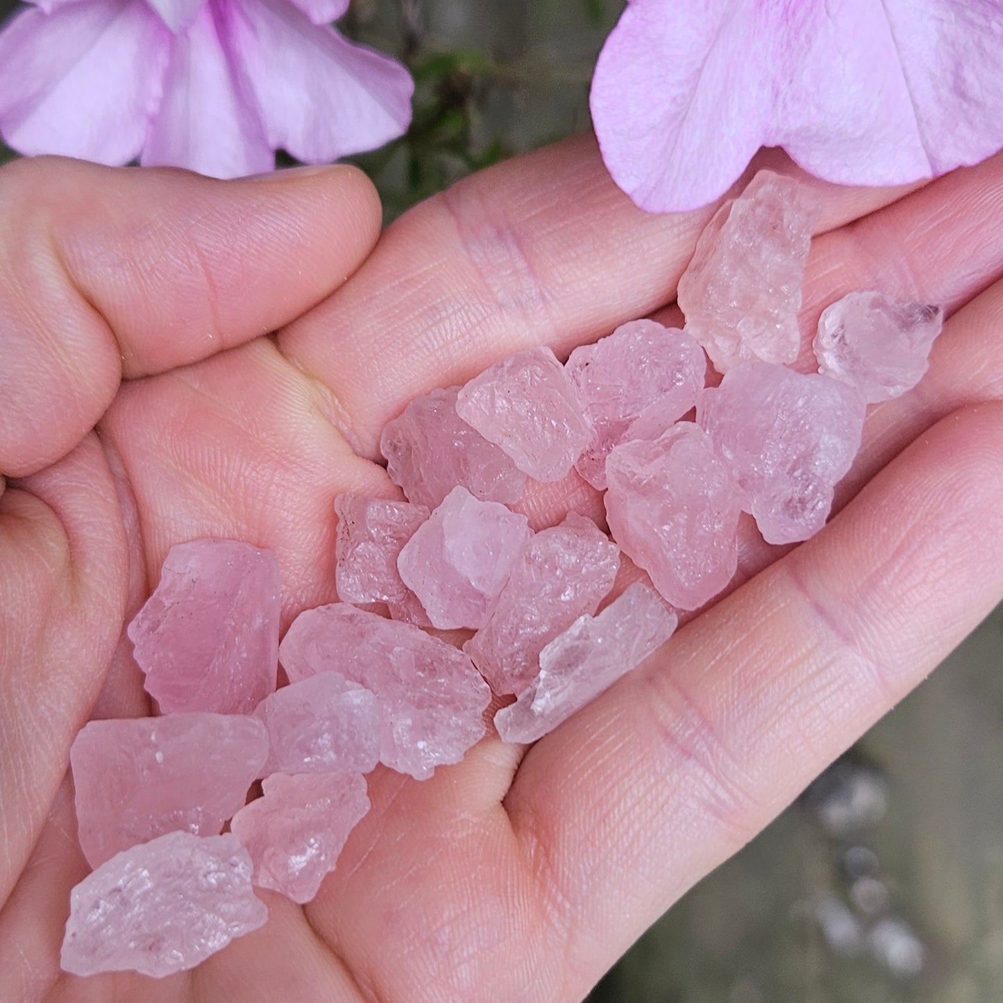 Raw Morganite