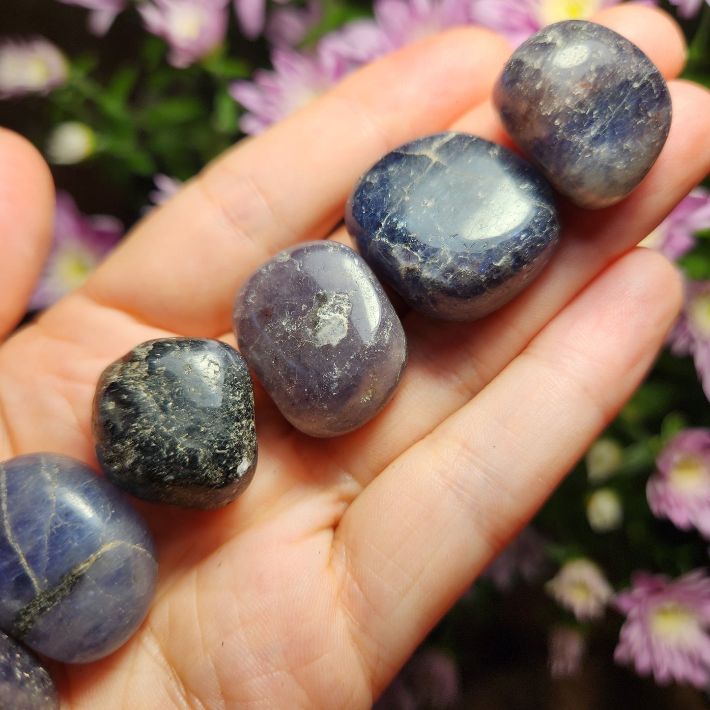 Iolite Crystal