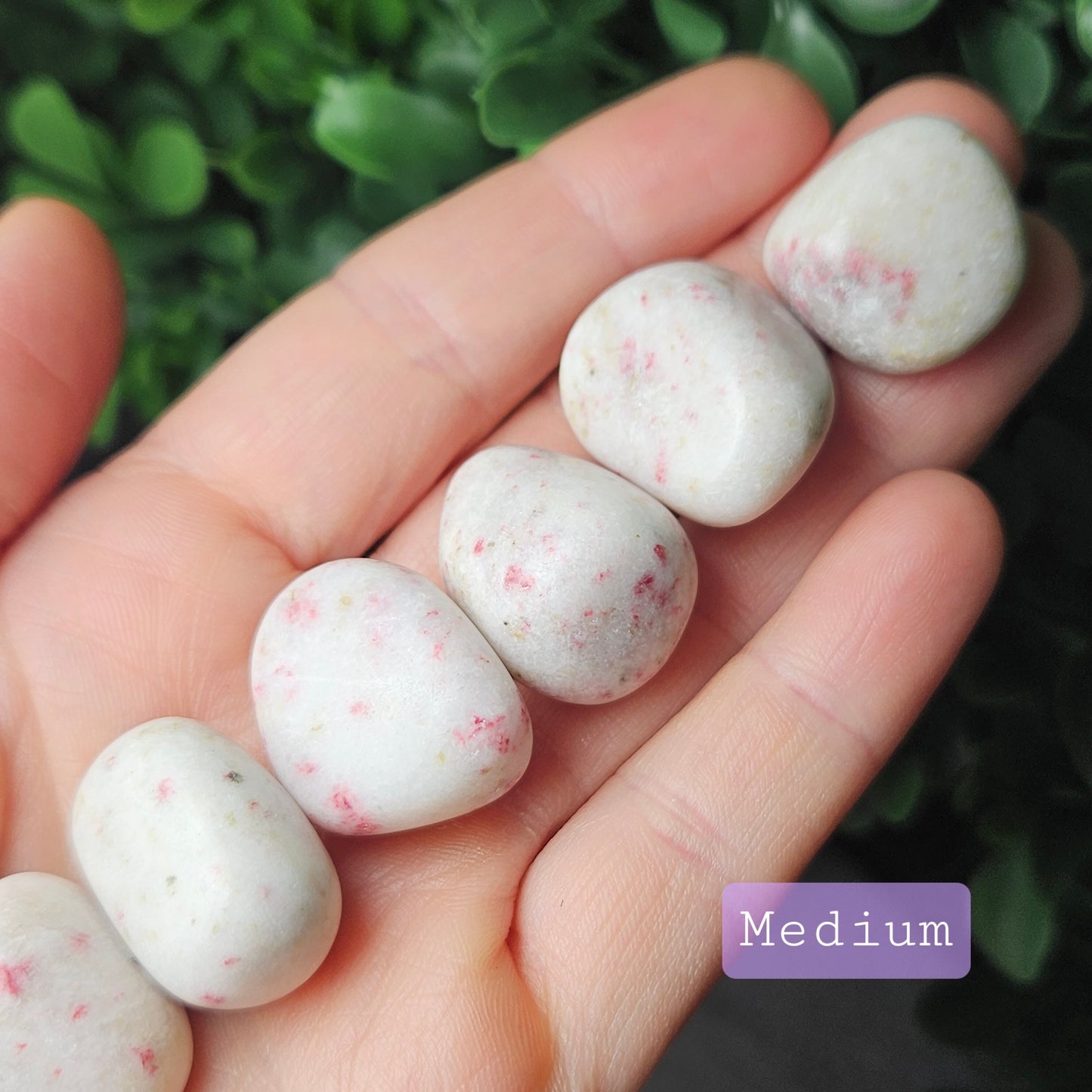 Pink Epidote in White Scapolite