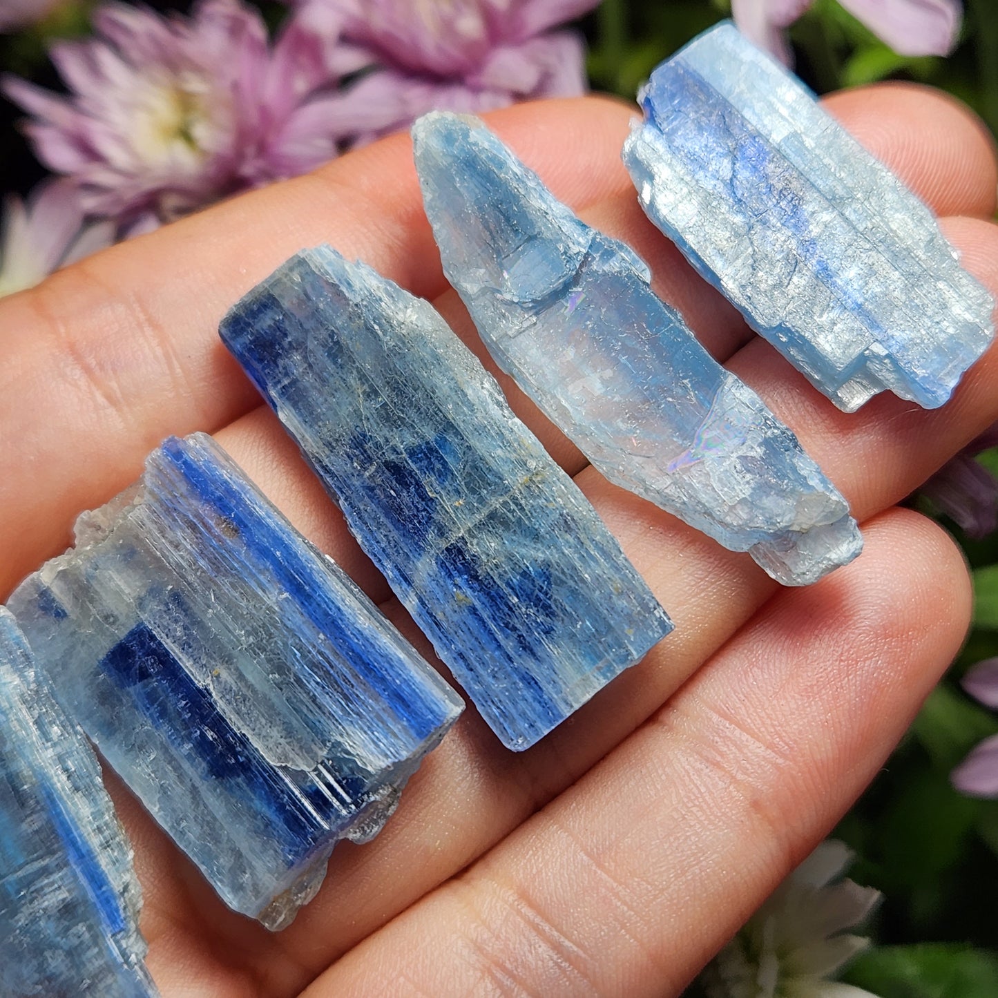 Blue Kyanite Crystal