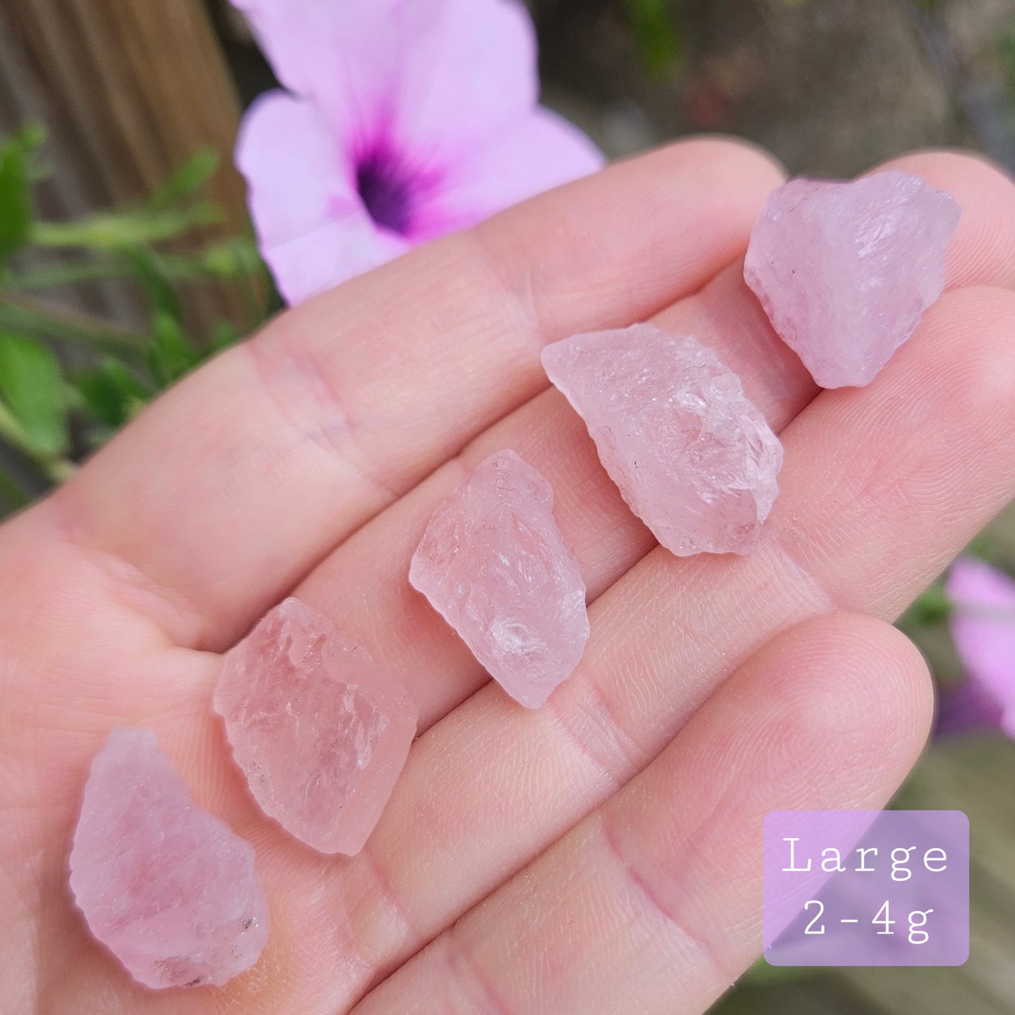 Raw Morganite