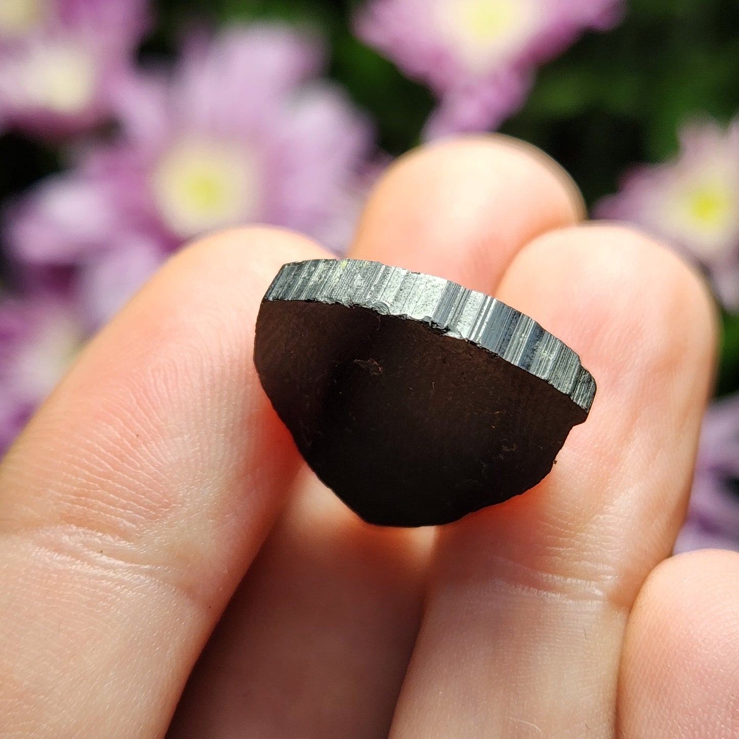 Black Tourmaline Slice