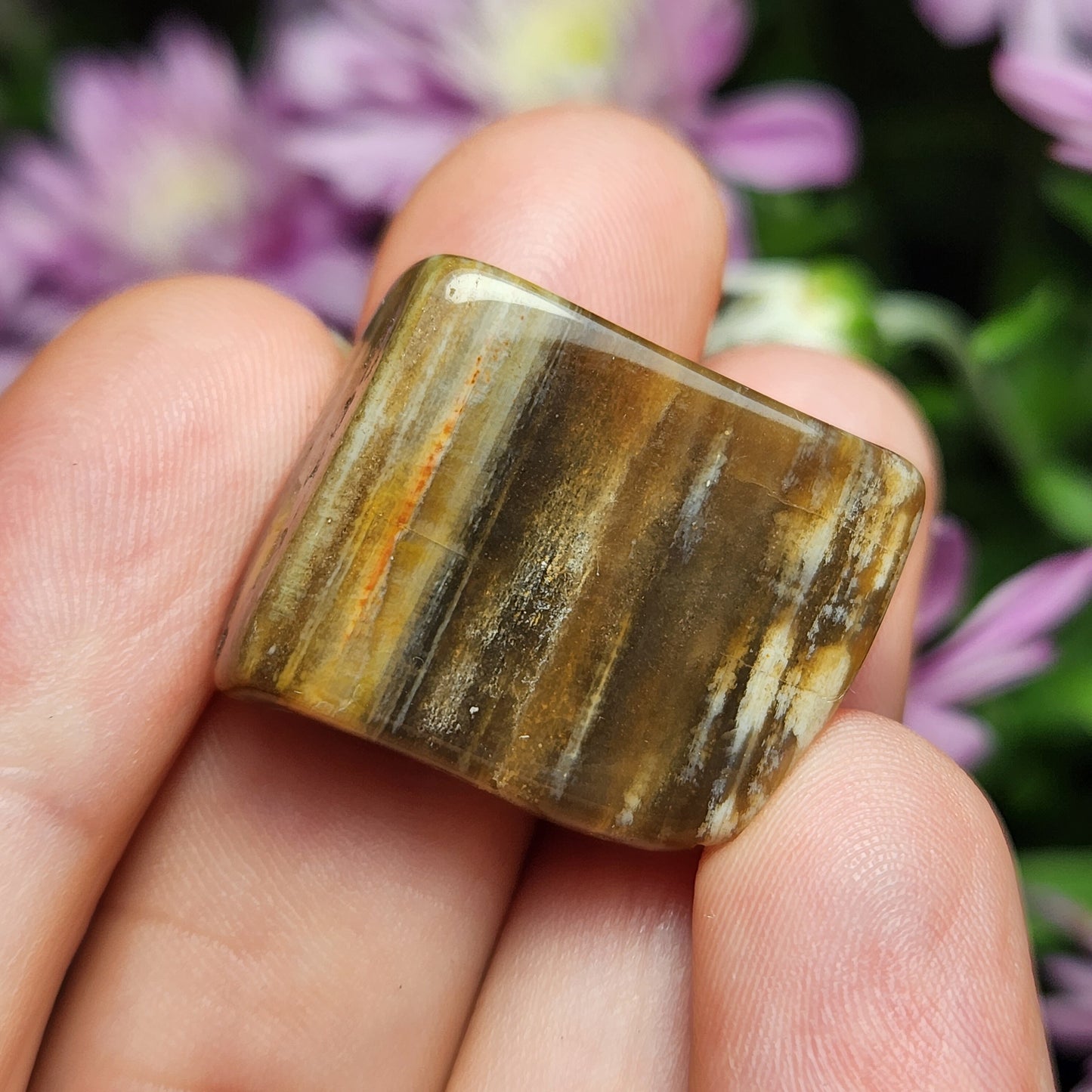 Petrified Wood