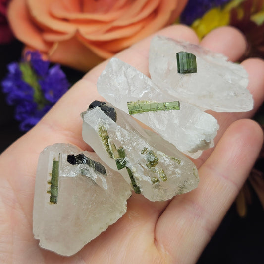 Green Tourmaline in Quartz Crystal