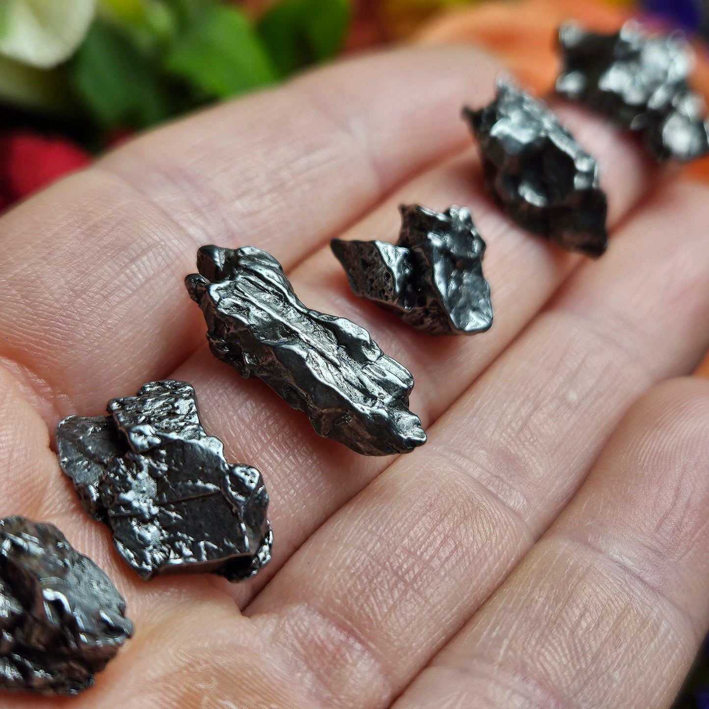 Campo Del Cielo Meteorite