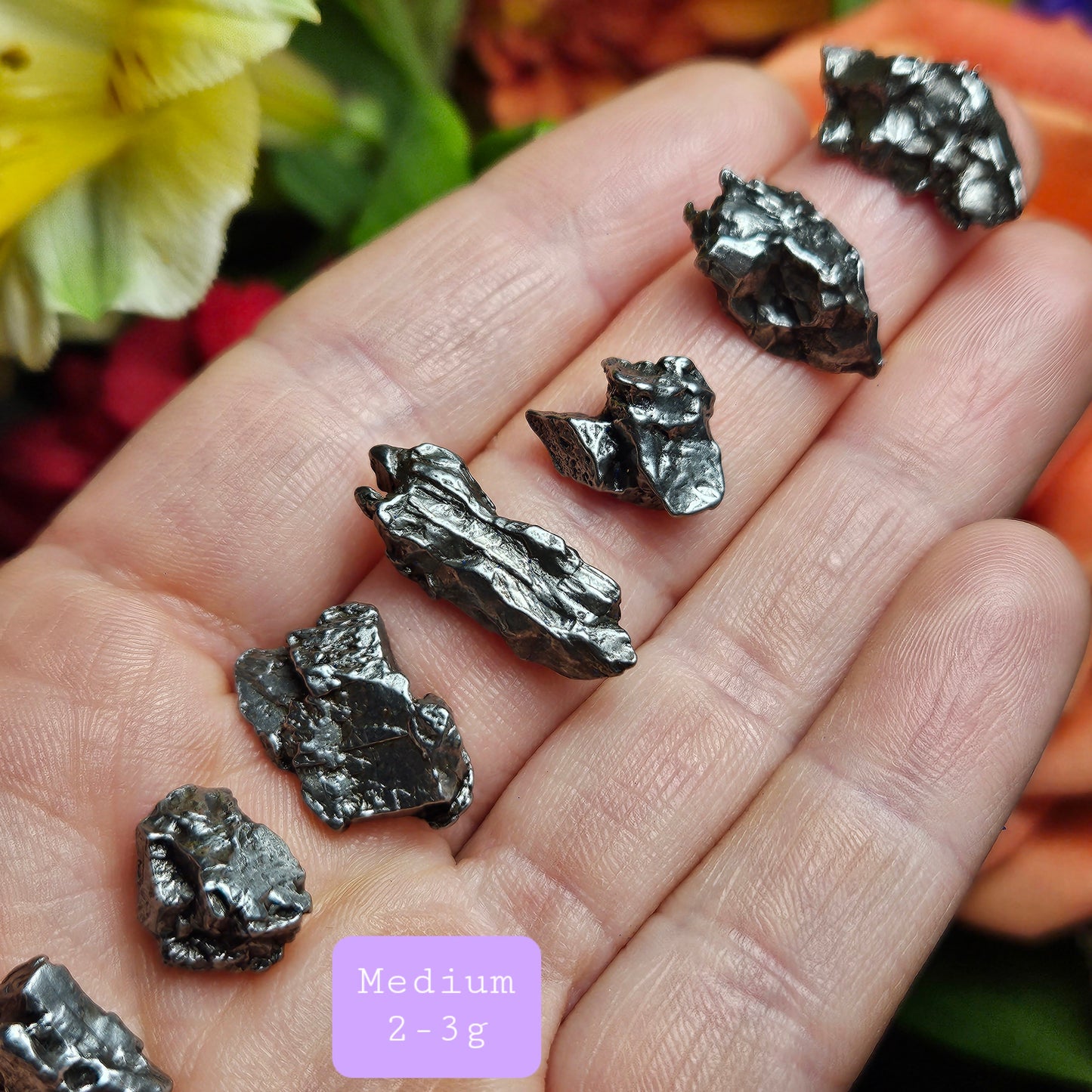 Campo Del Cielo Meteorite