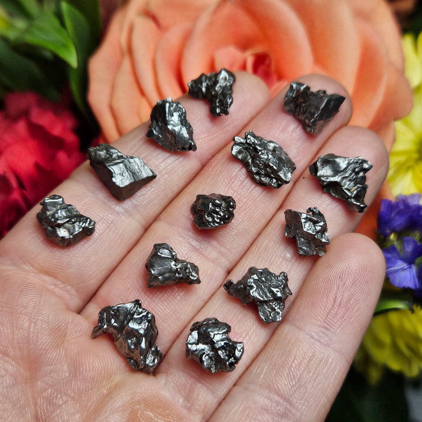 Campo Del Cielo Meteorite