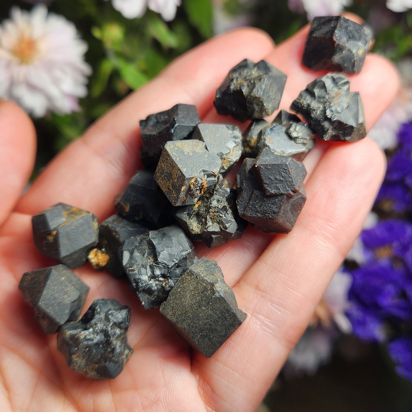 Black Garnet