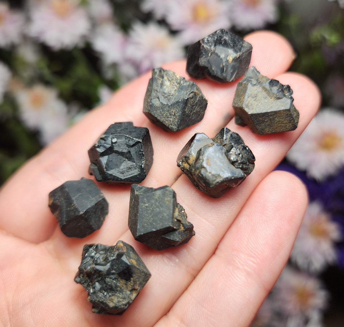 Black Garnet