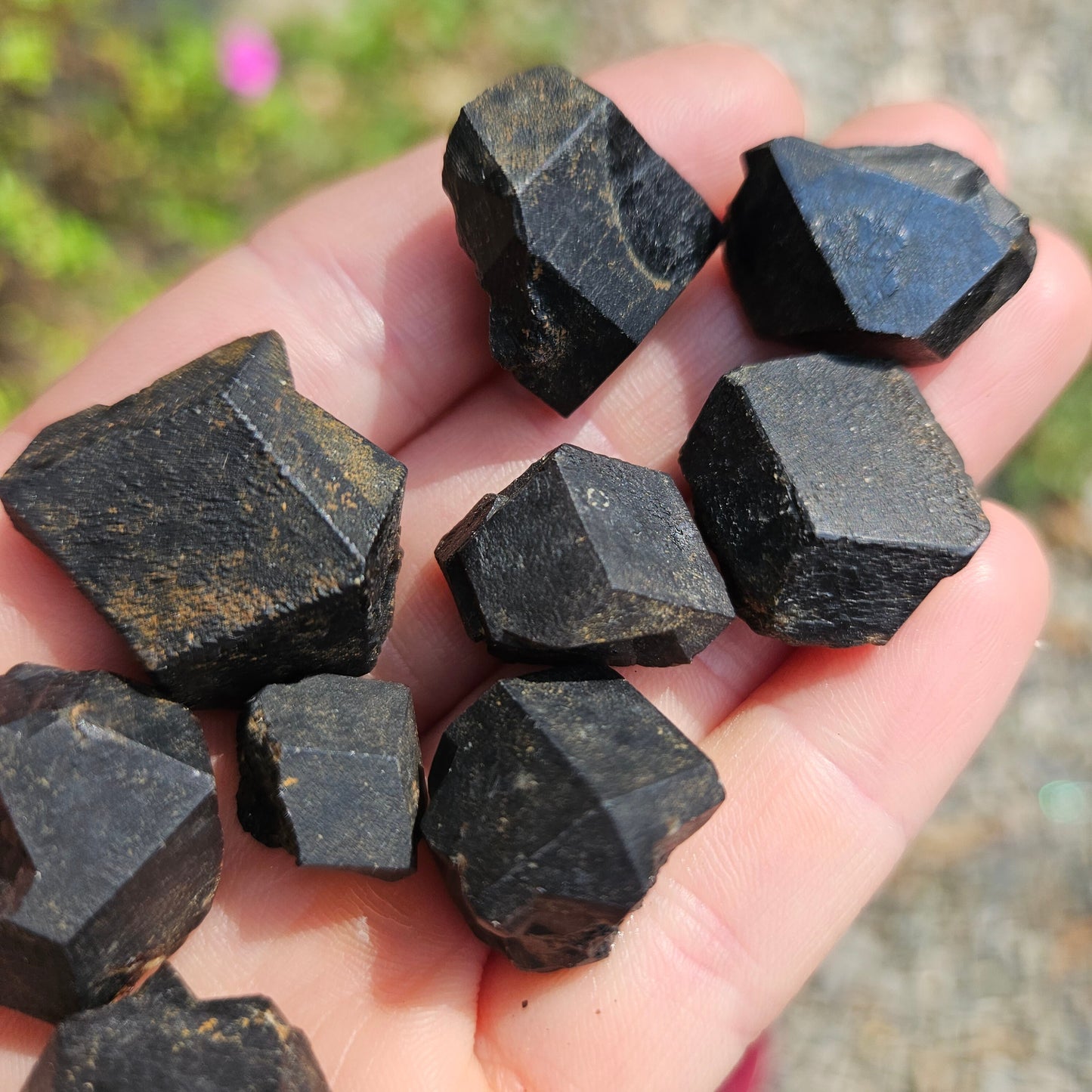 Black Garnet