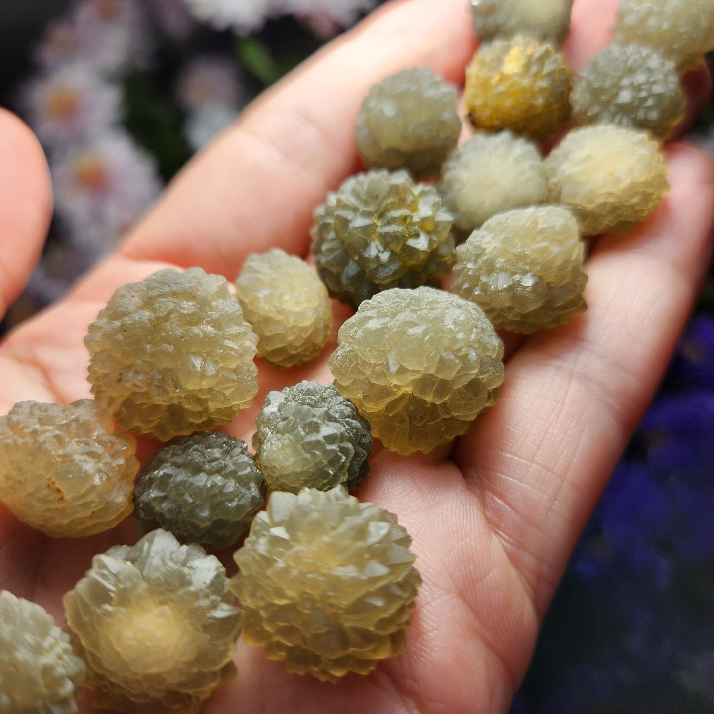 Star Chalcedony from Morocco