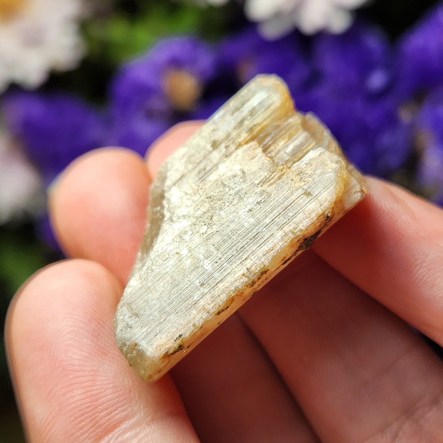Cat's Eye Apatite Crystal