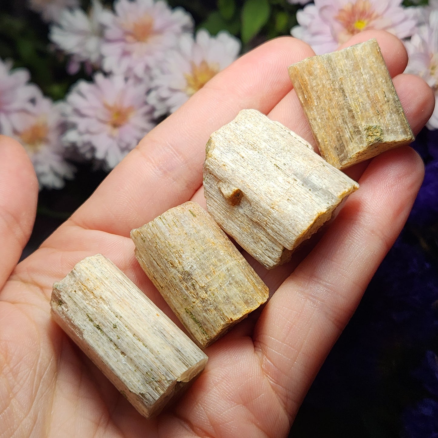 Cat's Eye Apatite Crystal