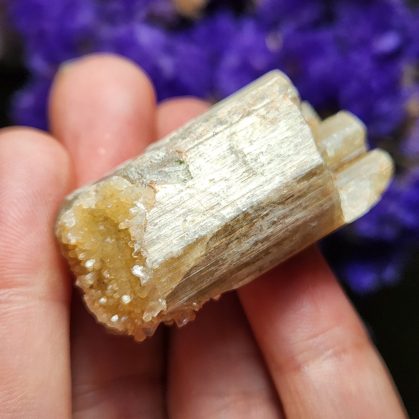 Cat's Eye Apatite Crystal