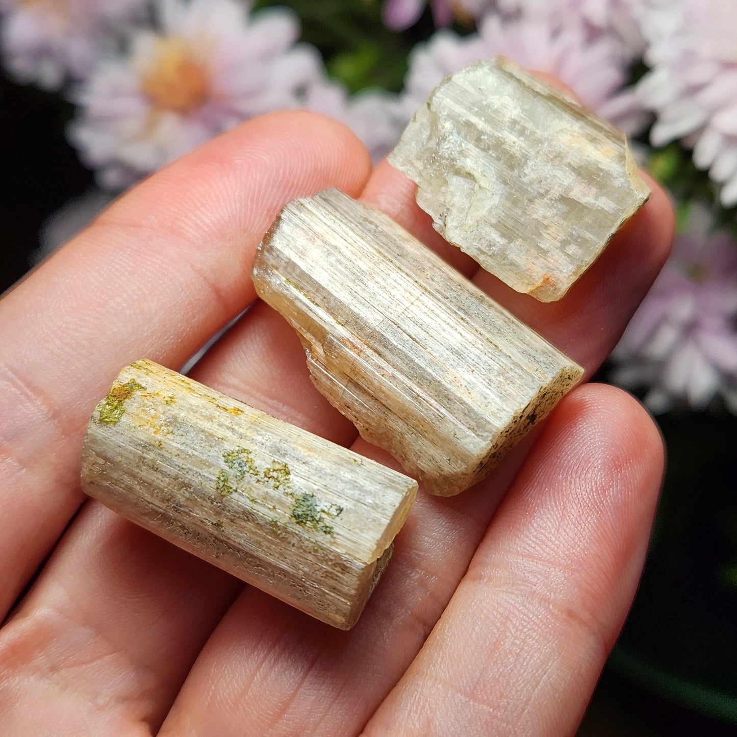 Cat's Eye Apatite Crystal