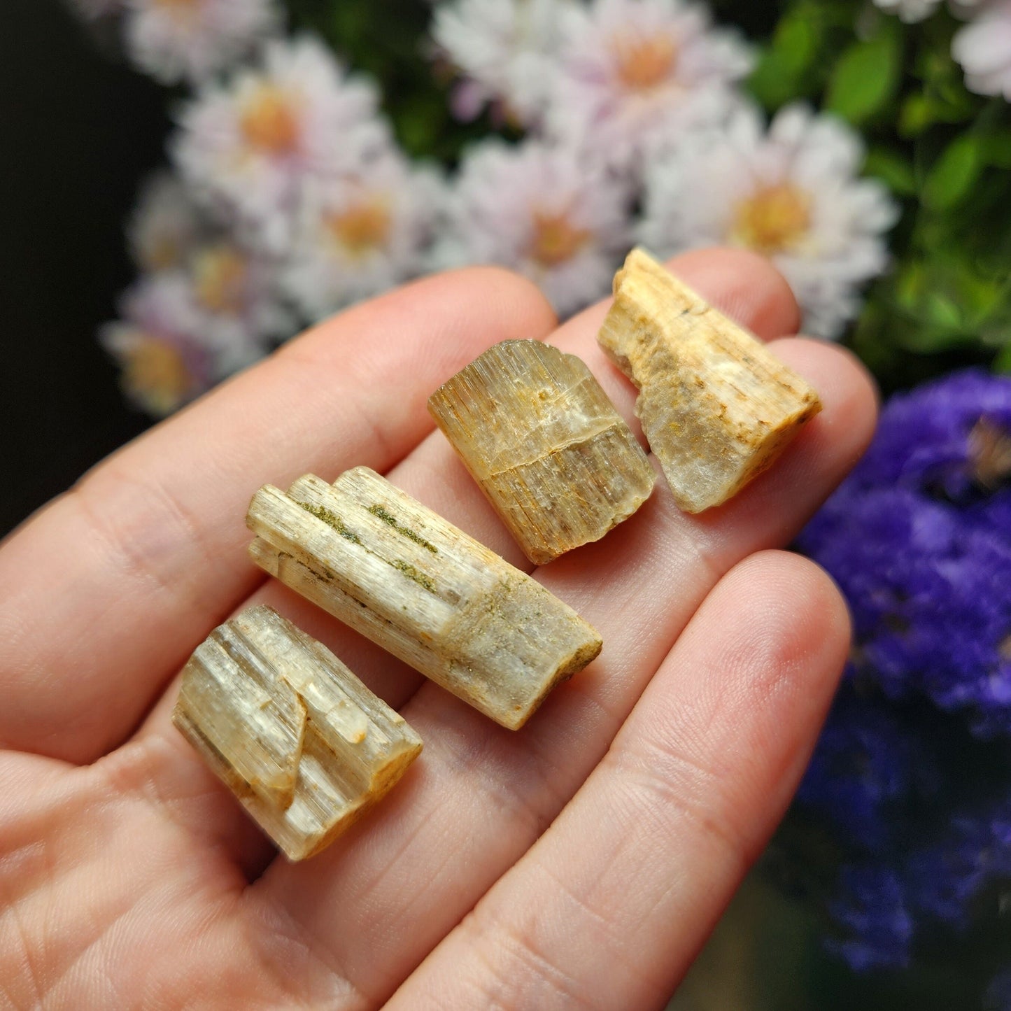 Cat's Eye Apatite Crystal