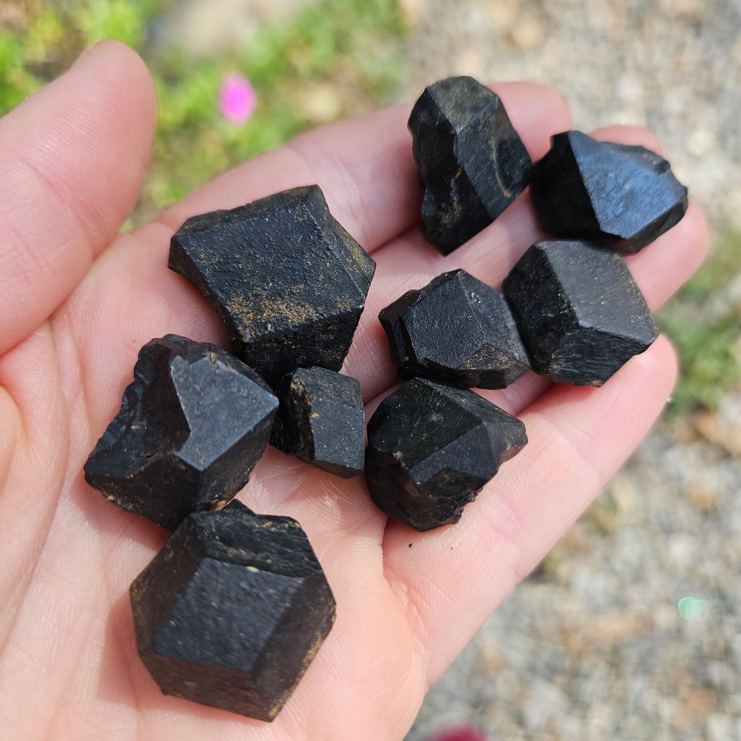 Black Garnet