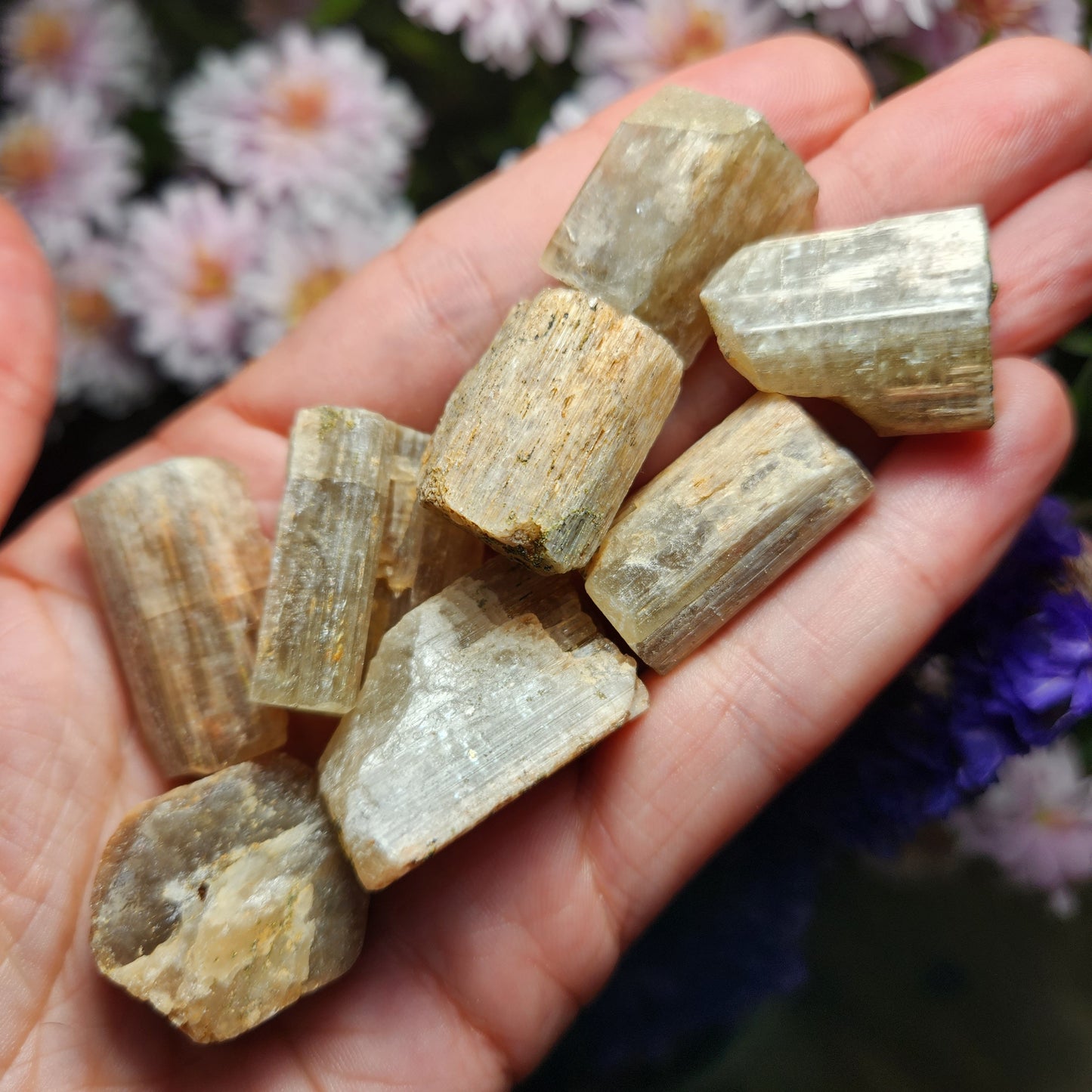 Cat's Eye Apatite Crystal