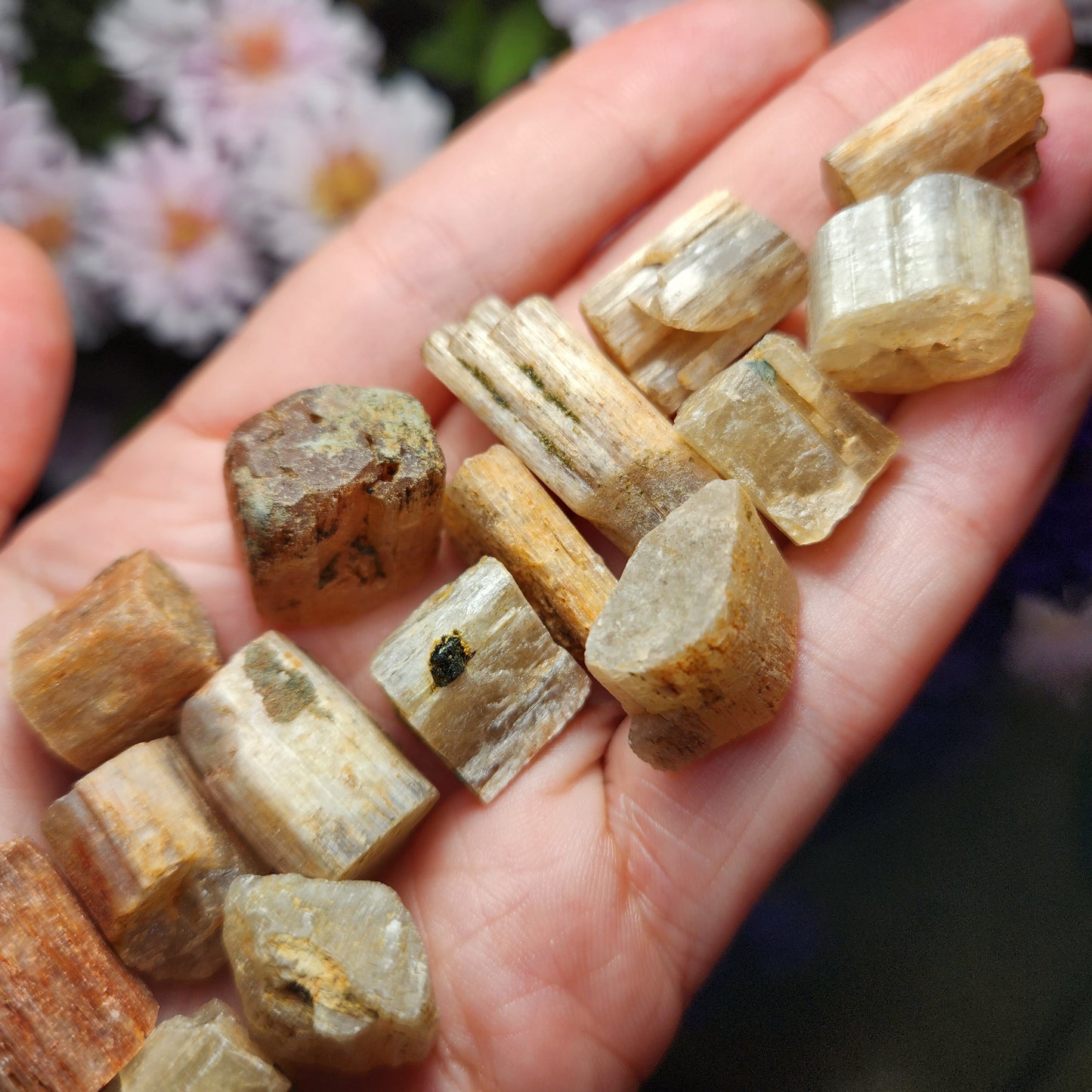 Cat's Eye Apatite Crystal