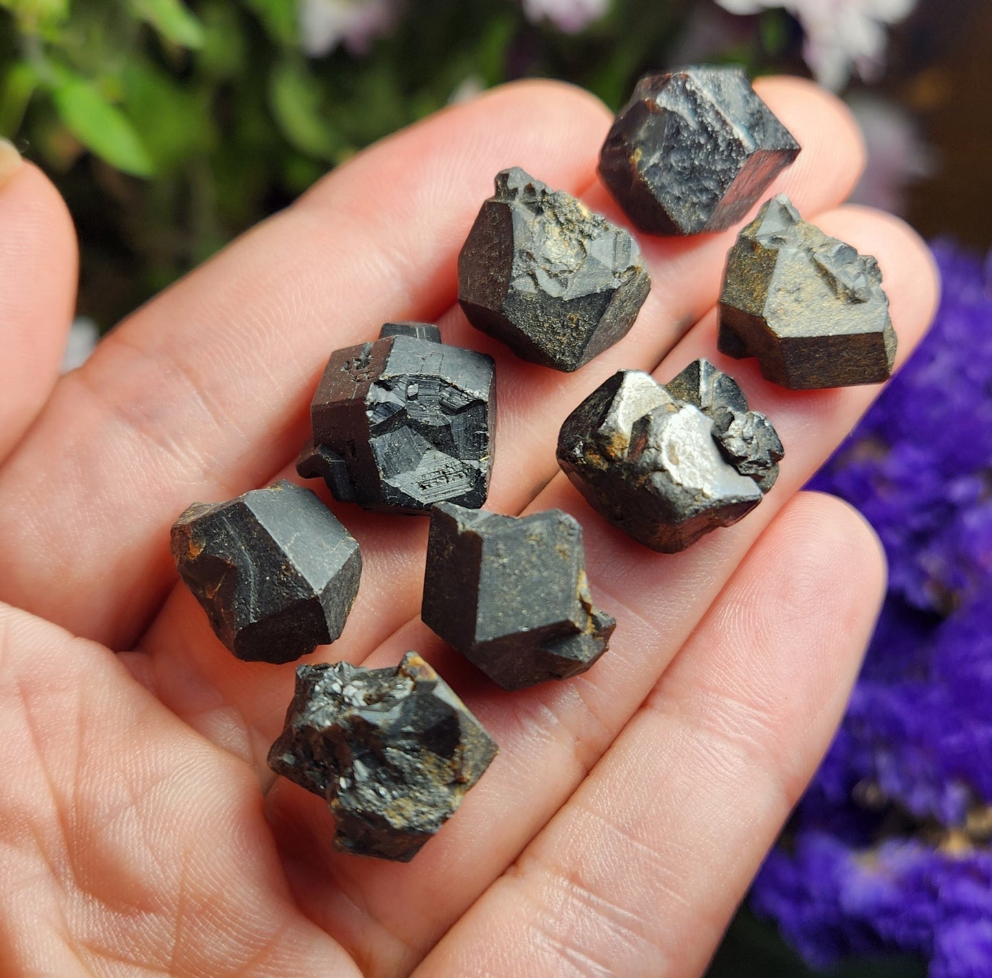 Black Garnet