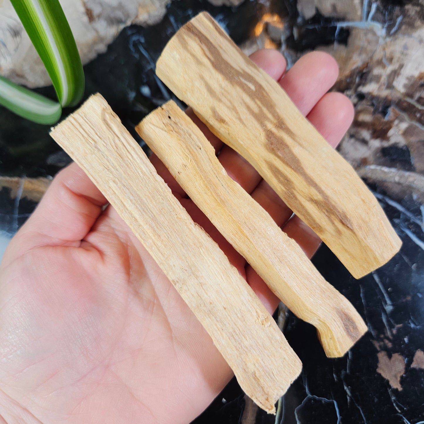 Palo Santo Sticks