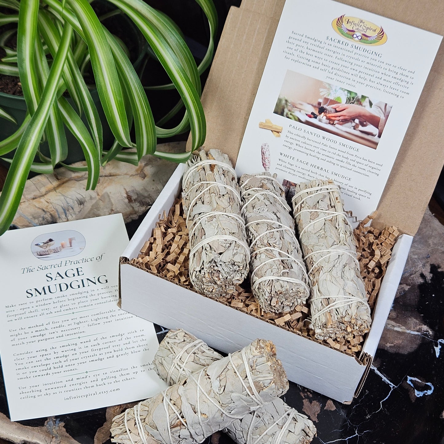 White Sage Bundle