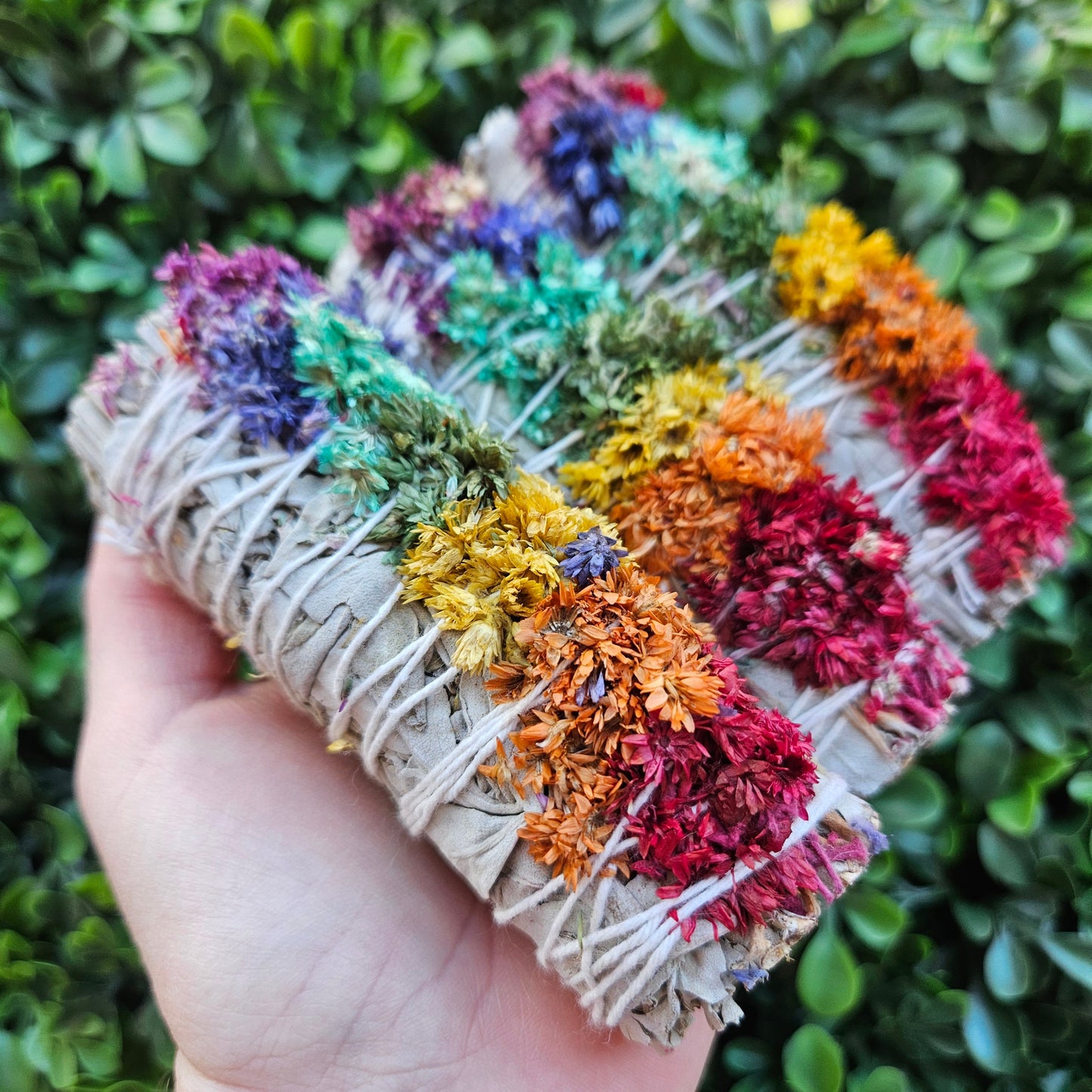 Chakra Sage