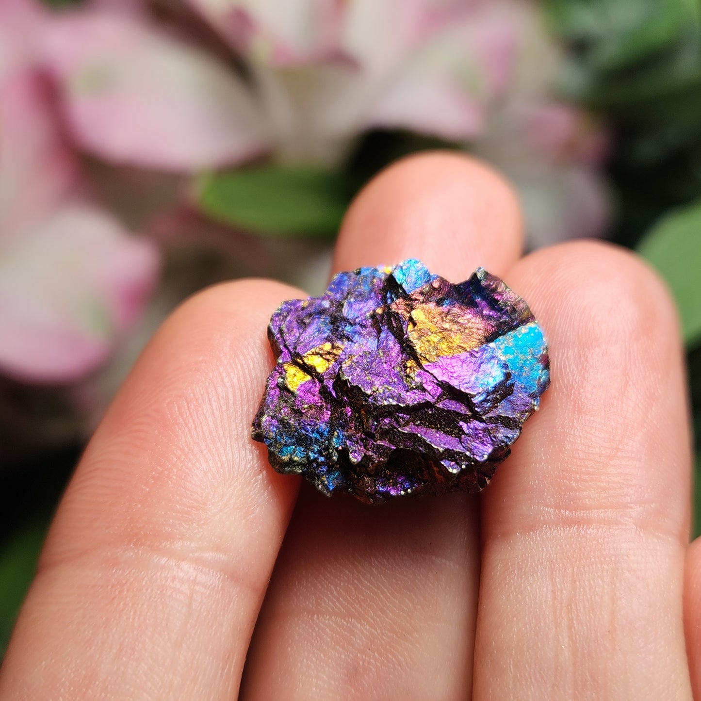 Peacock Ore