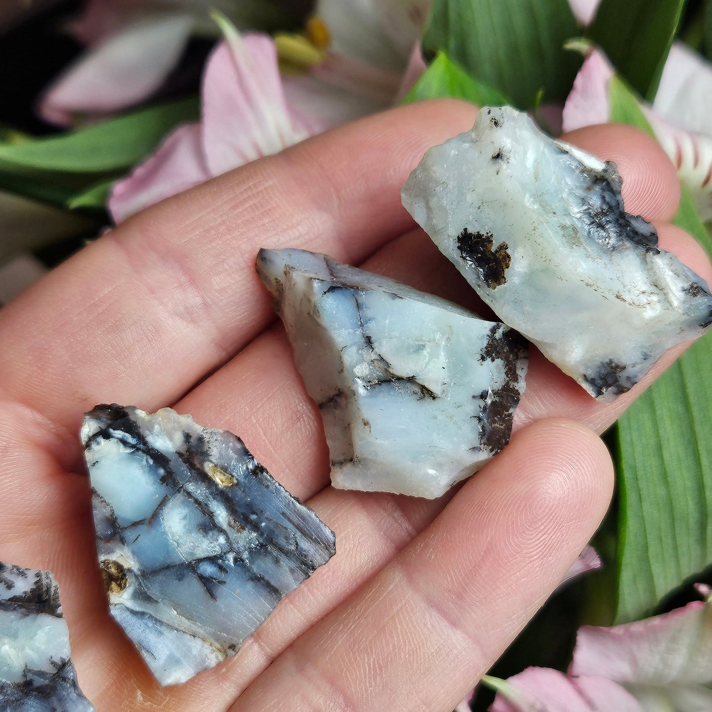 RARE Mount Shasta Opal Specimen